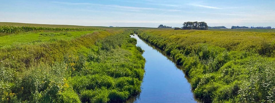 World Wetlands Day is Today, February 2nd. Learn Why Wetlands Are Important.